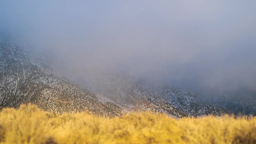 Thick fog descends onto a grassland beneath a snowy slope