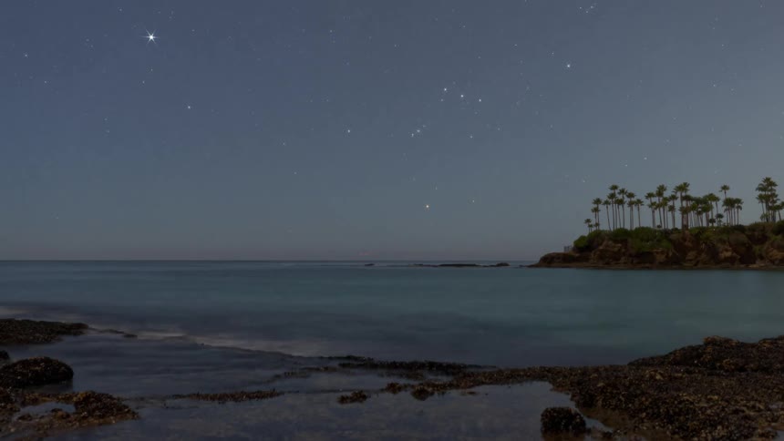 Stars move across the sky above palm trees and ocean waves