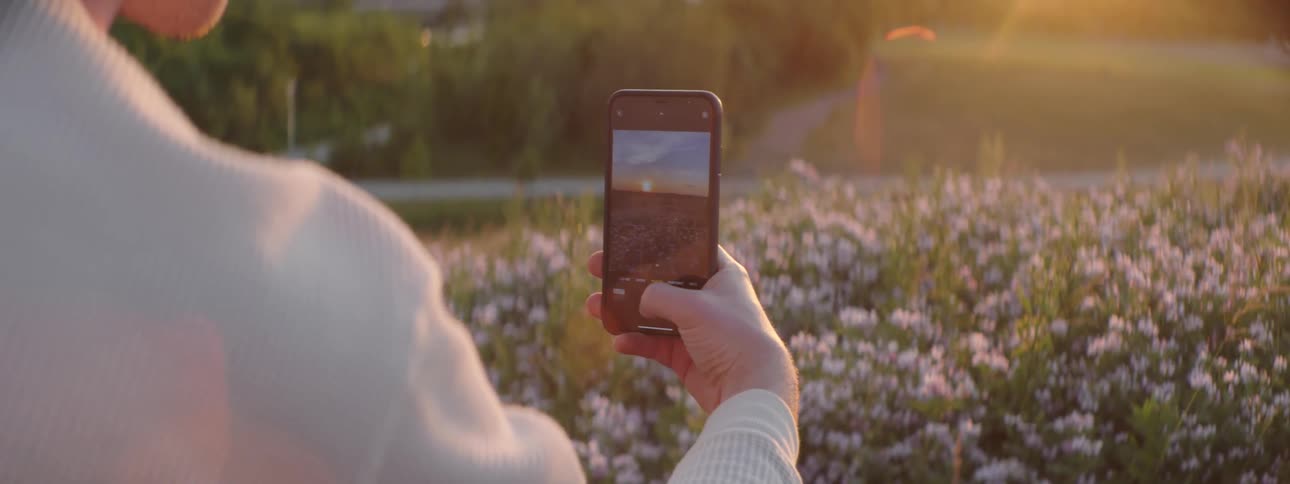 A person uses a smartphone to photograph a field of flowers during the day