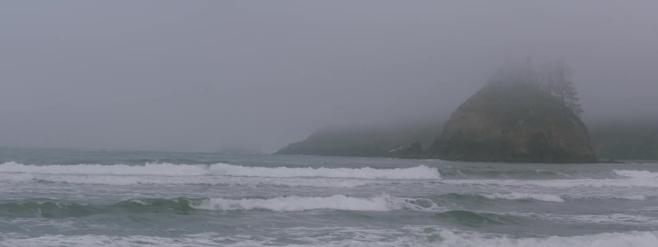Surfers paddle out on a very foggy day