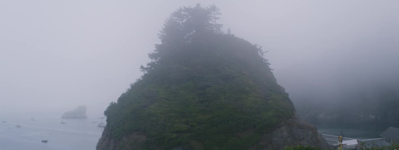 Vegetation covered mountain borders town on on side and the ocean on the other on a densely foggy day