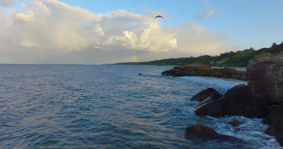 Seagulls fly calmly above the ocean water as waves wash upon a rocky coastline