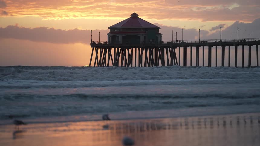 Seagulls fly and walk on the beach near a pier with people walking at sunset
