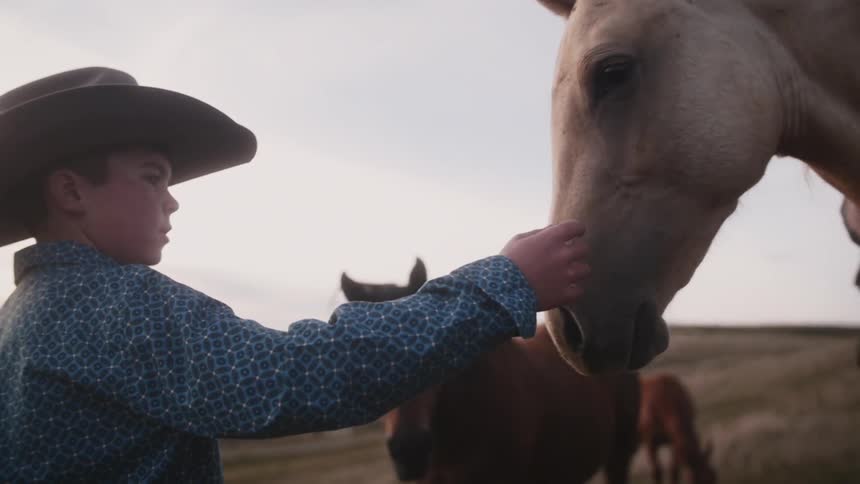 Young cowboy gently touching a horse in front of him