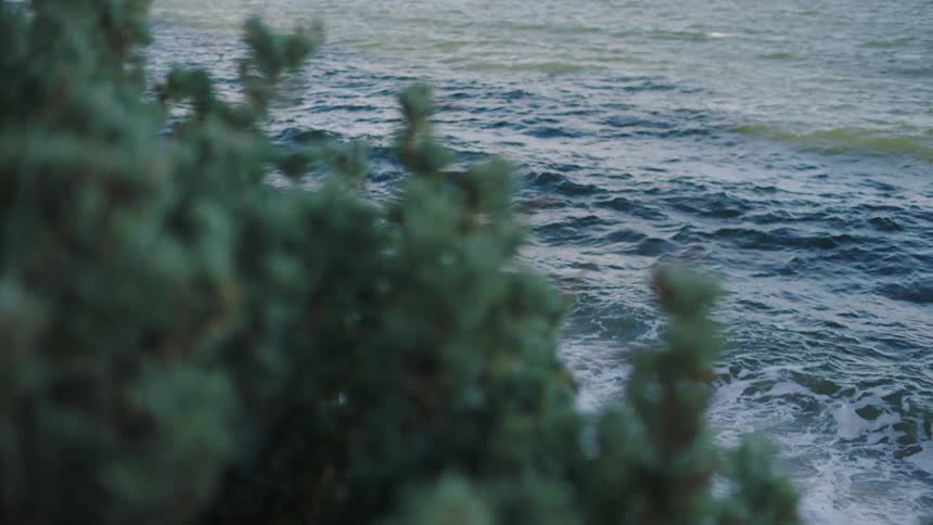 Waves splash and break on shore with plants and bushes blowing in the wind above