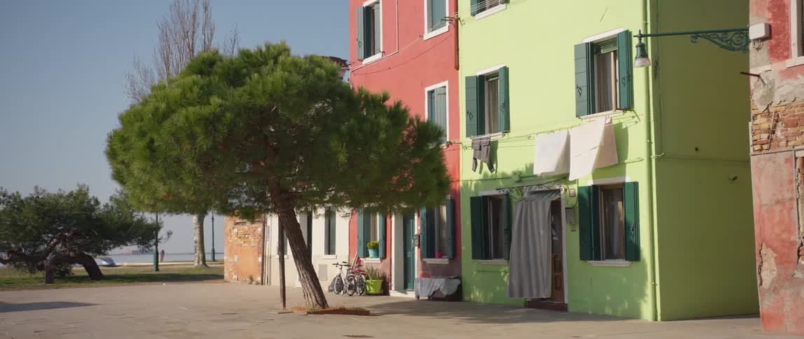 A small Stone Pine tree outside a set of colorful mediterranean buildings on Burano Island, Venice, Italy