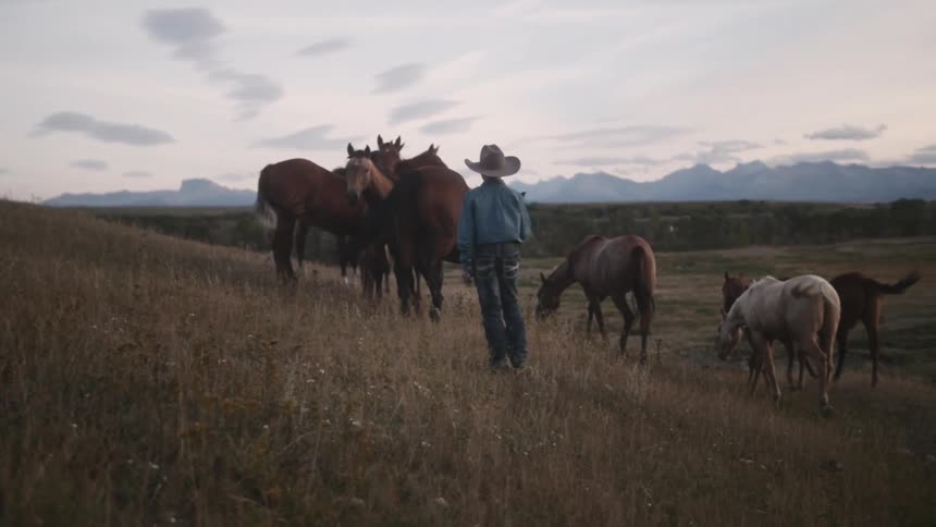 Young cowboy standing in a pasture with several horses
