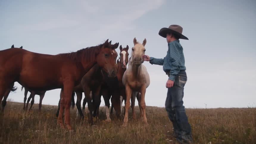 Boy in a cowboy hat approaches horses in a field
