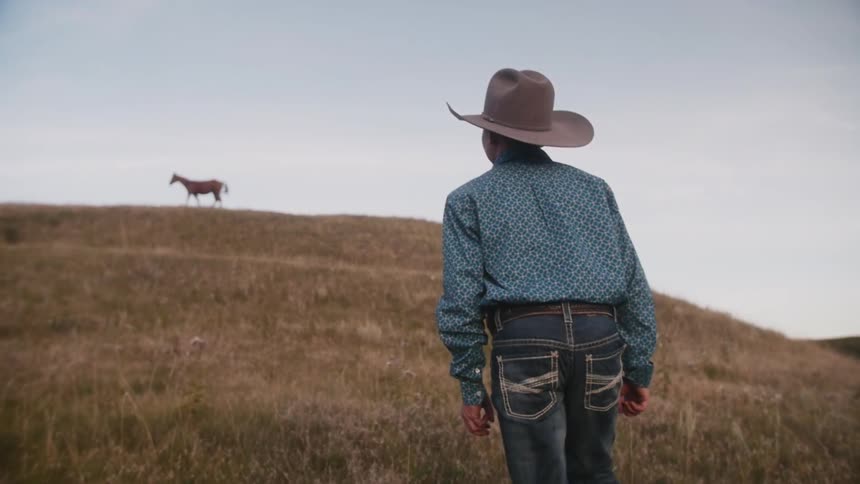 A boy is walking uphill towards horses at the top