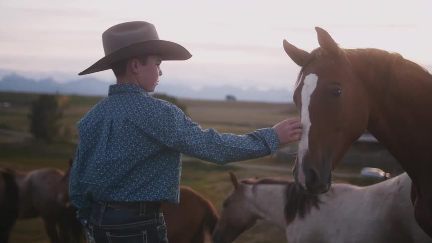 Young boy gently petting a horse's face
