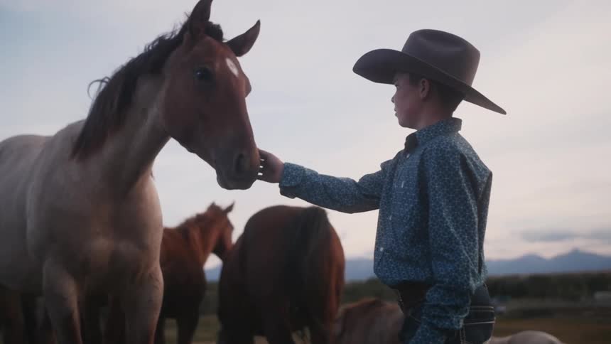 Young boy walks up to horse and pets it