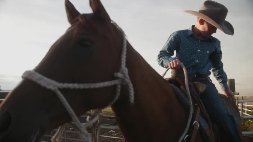 A boy wearing a cowboy hat sits on a horse and strokes it