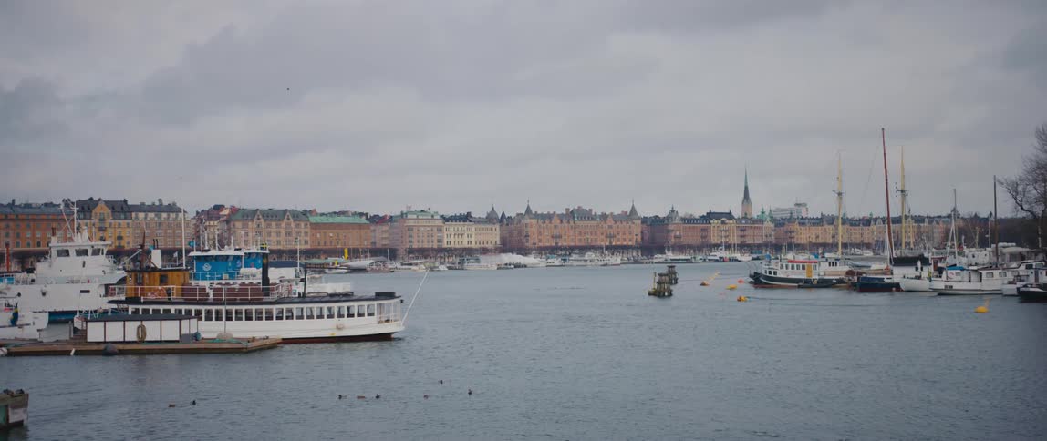Ships and boats sit docked at the the waterfront as buildings line the water in the background under an overcast sky
