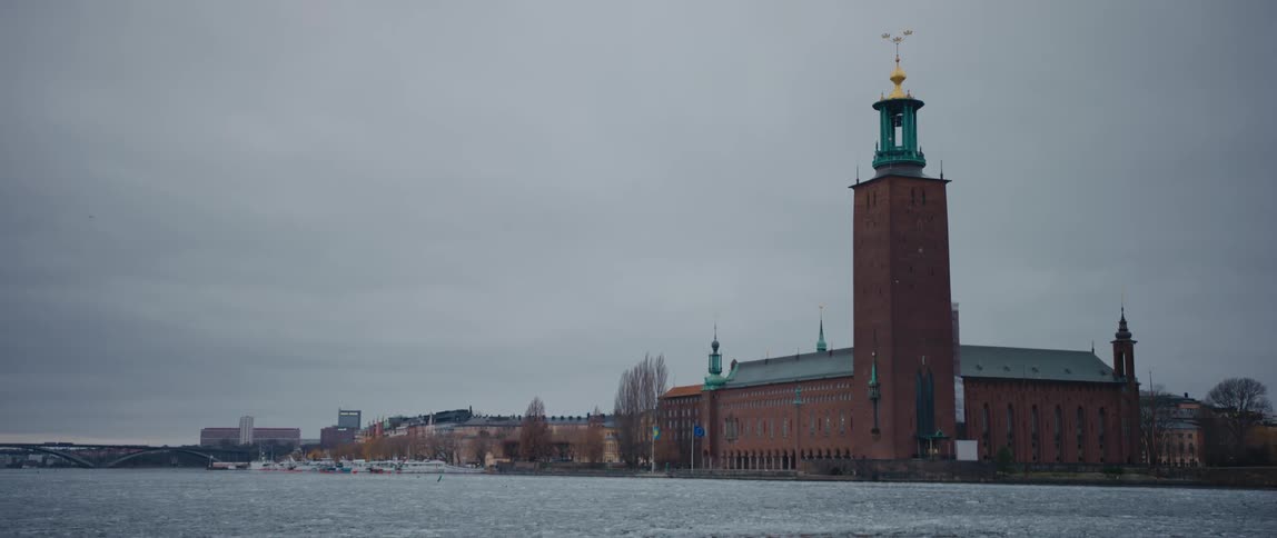 Large building with bell tower sits near water with arched bridge and marina in the background