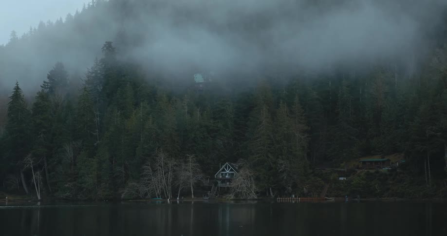 House near a lake under the fog in the pine tree forest on the mountains