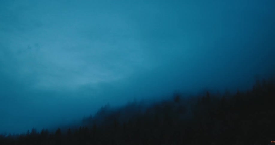Fog obscures conifer forest sitting on slope at night