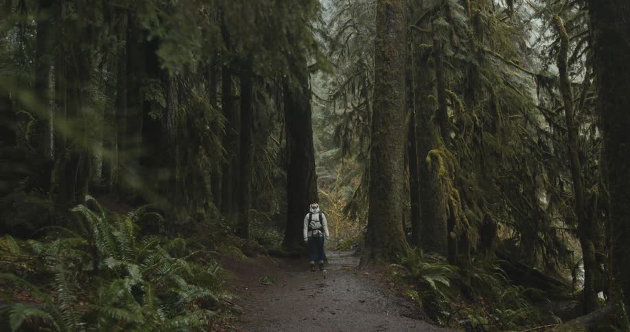 A view of a person hiking outdoors