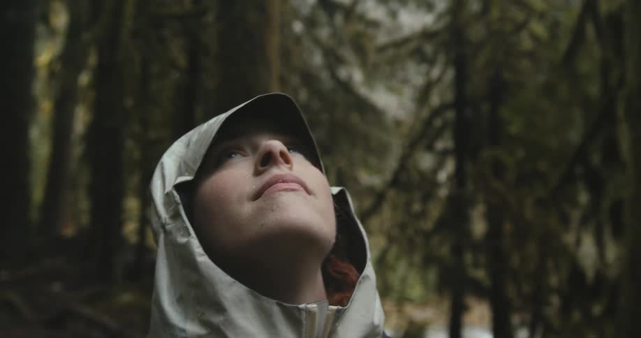 A woman wearing a raincoat looks up at the tall trees in a woodland on a rainy day