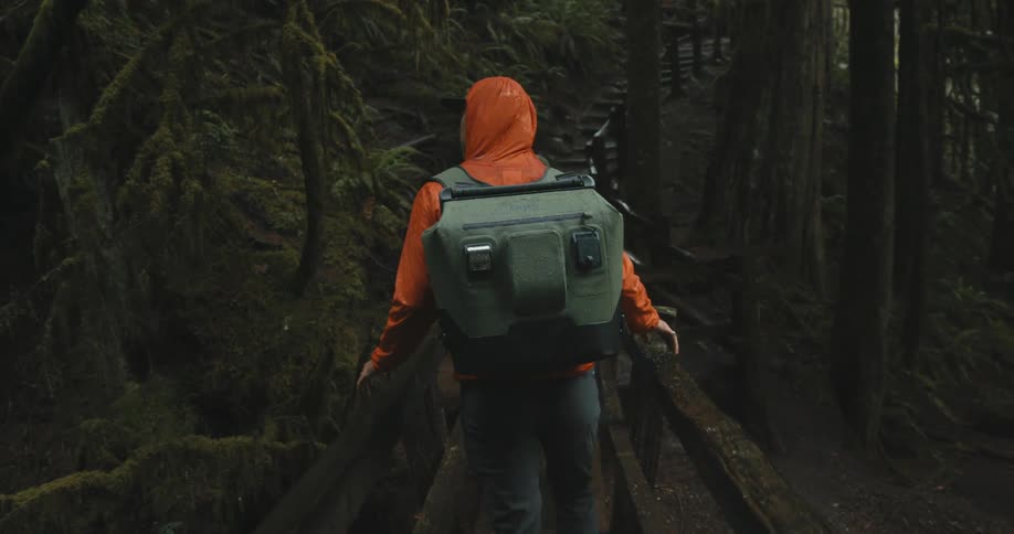 A pair of hikers cross a narrow wooden bridge in a forest during the day