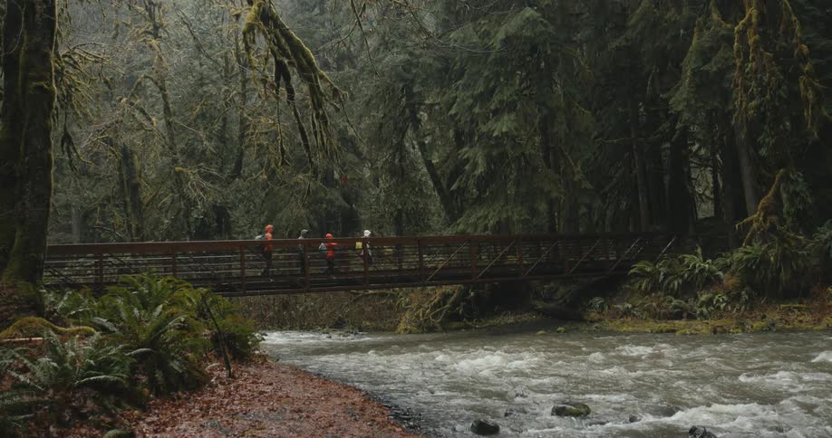 A group of hikers cross a narrow wooden bridge over a river in a woodland on a rainy day