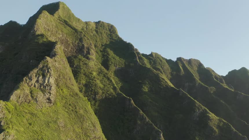 Close up of a cliff covered in moss