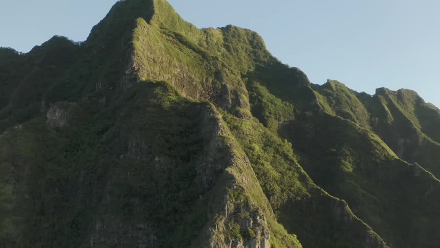 Mountain ridge covered with green grass and plants