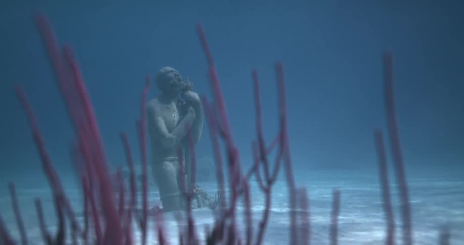 A view of a statue underwater