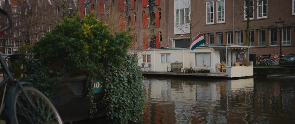A pigeon flies out of a bush near a canal in Amsterdam