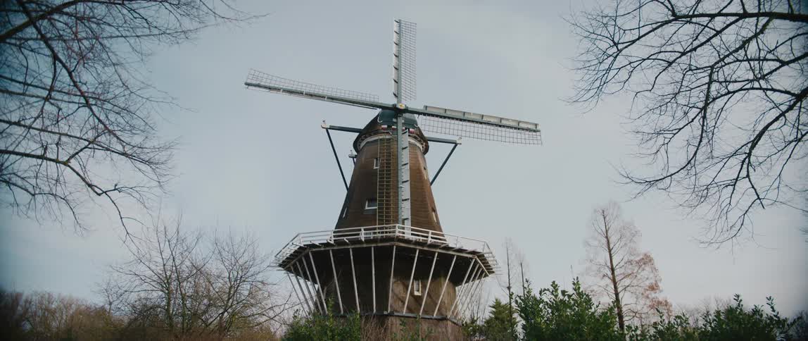 Sloten windmill among bare trees under a clear sky in Amsterdam