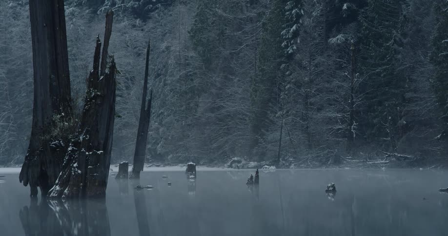 Fog surrounds a jagged stump on a frozen lake in winter