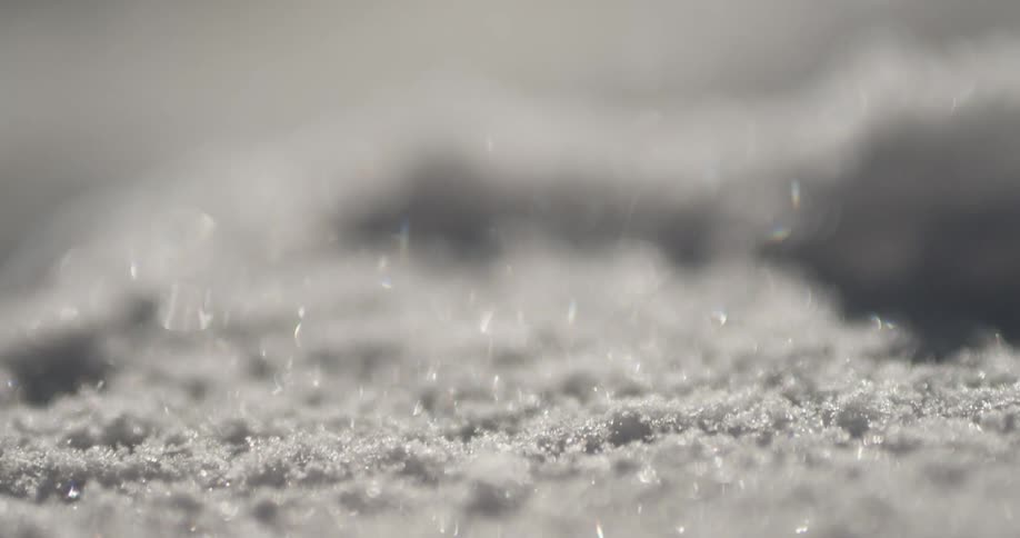 Fresh snowflakes displayed in macro textures