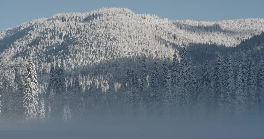 A wintery mountainous forest landscape covered in snow and fog