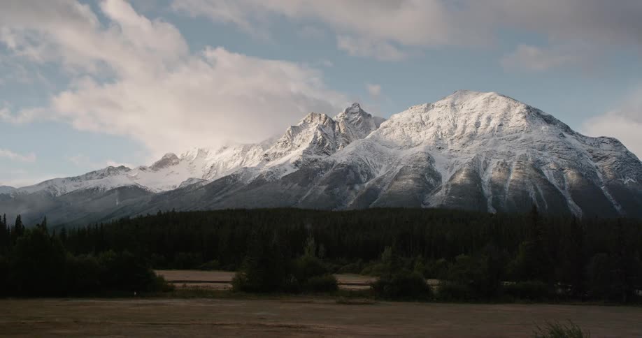 A snow capped mountain looms over the forest and grassland below