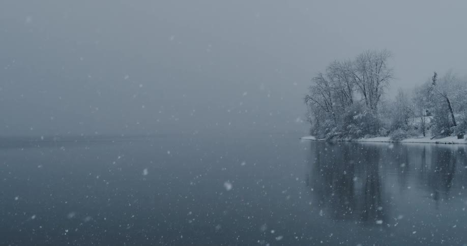 Snow is falling on a lake and trees on a winter day