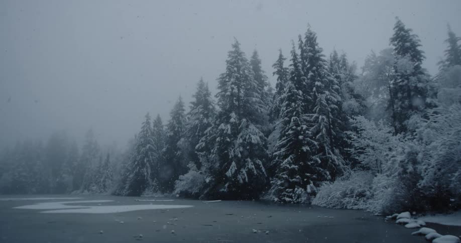 Snow falls onto wintery frozen lake and nearby frost covered trees