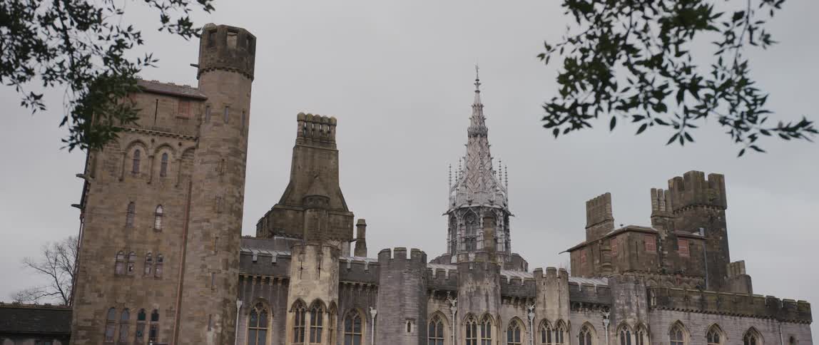 Wind blows through trees in front of a castle
