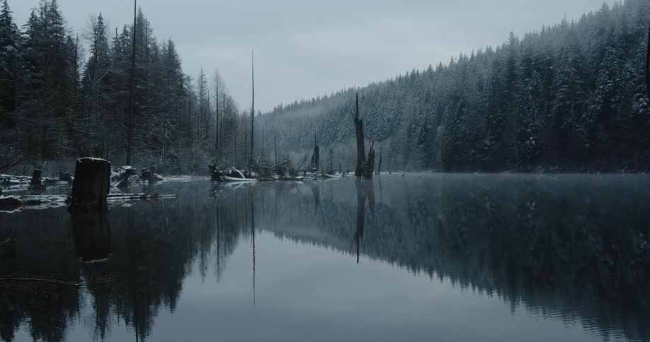 Snow coats the trees beside a misty winter lake