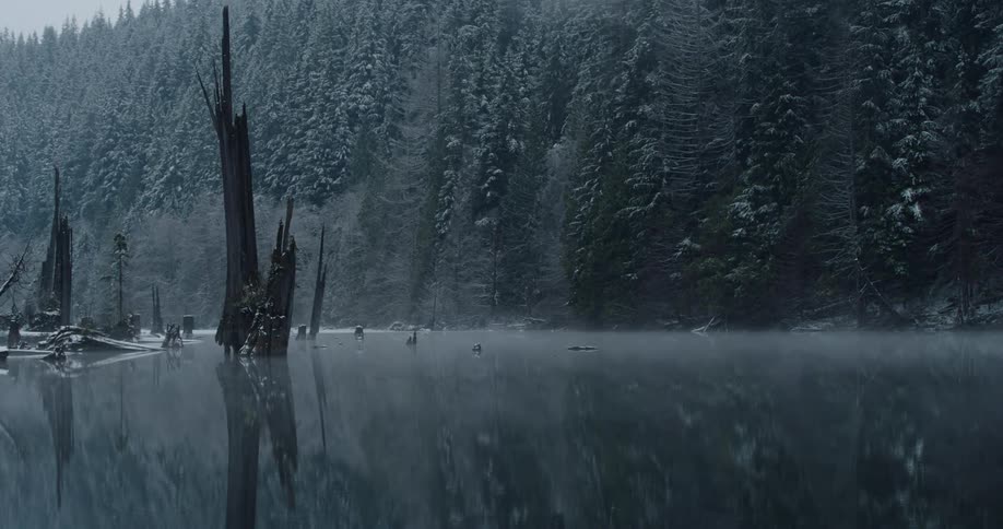 Winter fog moves over a lake with a frosty forest on the bank