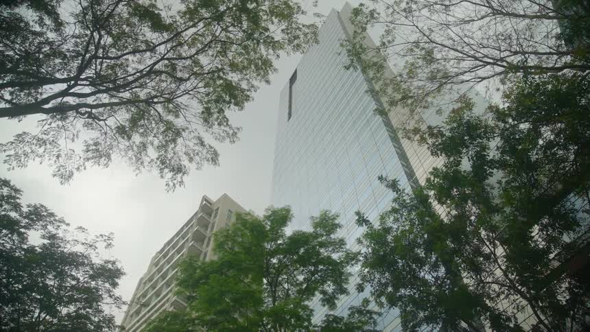 Tall buildings are behind the trees in large city