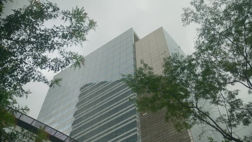 Two birds fly near the tall city building next to the green trees under a cloudy sky