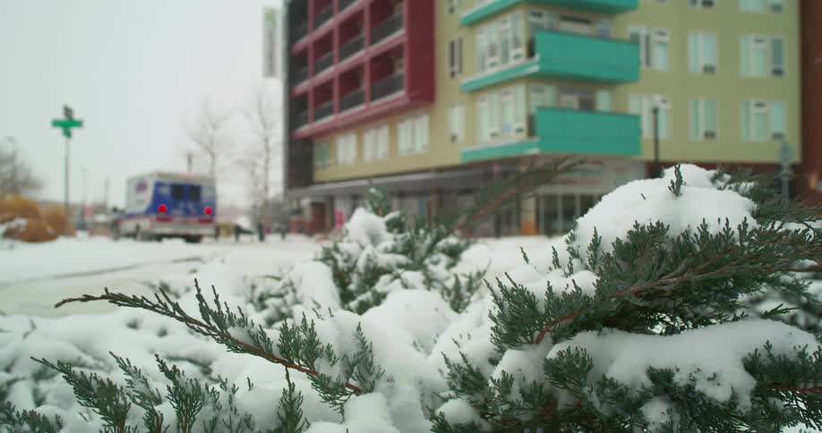 Snow covered bushes near an apartment building as an ambulance drives by on a winter day