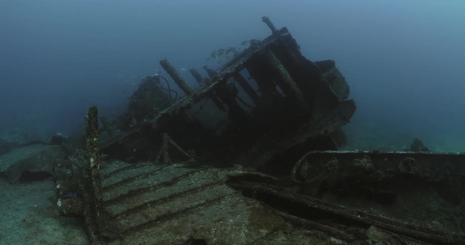 Fish are swimming around the ruins of a sunken ship