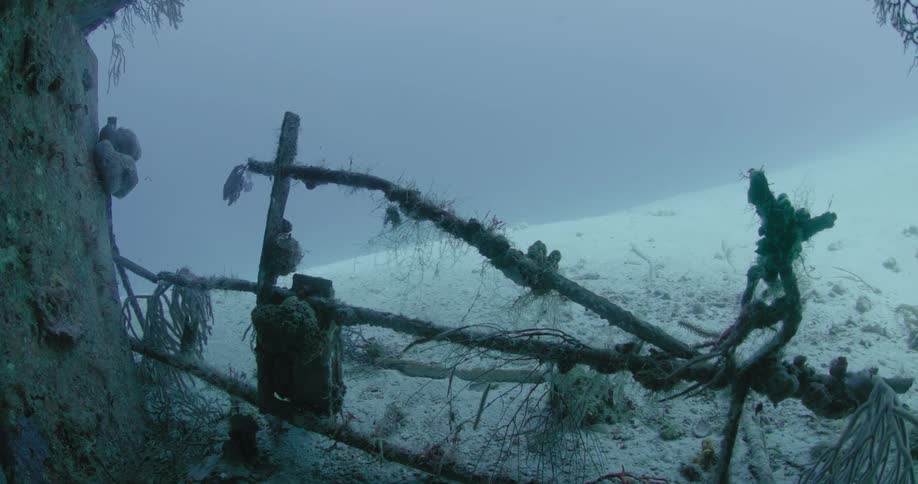 Coral encrusted sunken shipwreck sitting on sandy seafloor in murky water