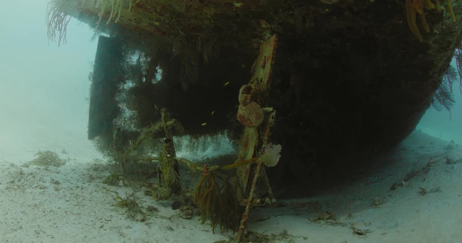 Close up of a ship wreck under water