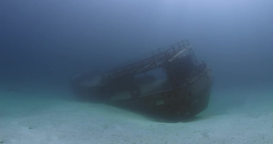 A shipwreck sits on the bottom of the ocean