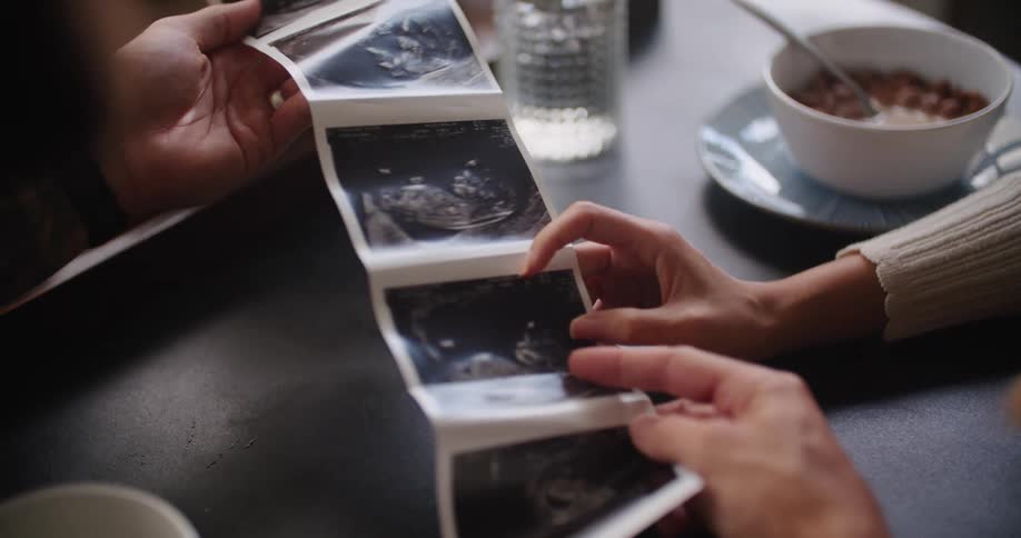 Woman holds a sheet of photos while another woman points at a photo with her finger and a dog looks on