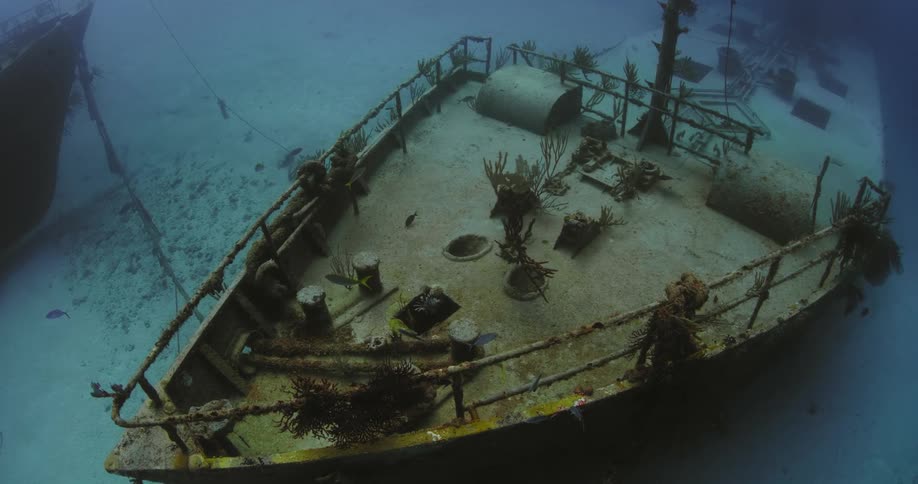 Fish are swimming around a shipwreck on the bottom of the ocean