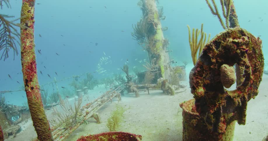 Moving through a shipwreck out onto the deck where fish are swimming and plants are growing