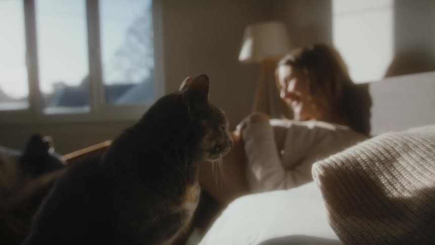 A woman smiles and talks to her pet cat as she caresses her pregnant belly
