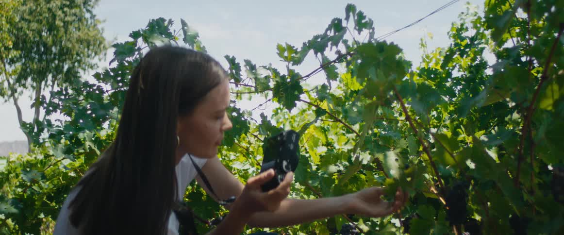 Woman taking pictures of the leaves and fruits outdoors with her photography camera at a sunny day